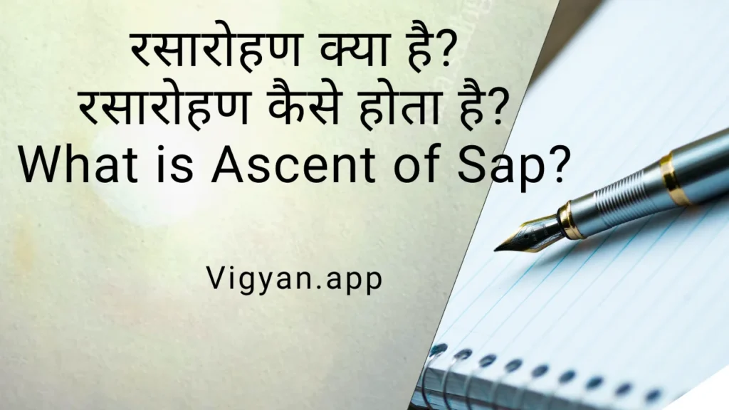 रसारोहण क्या है? रसारोहण कैसे होता है? What is Ascent of sap? 9 1000083364