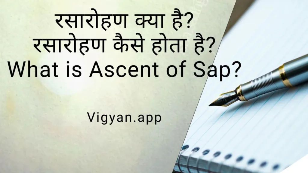 रसारोहण क्या है? रसारोहण कैसे होता है? What is Ascent of sap? 1 image editor output image825213835 17200276362496764529418774470948