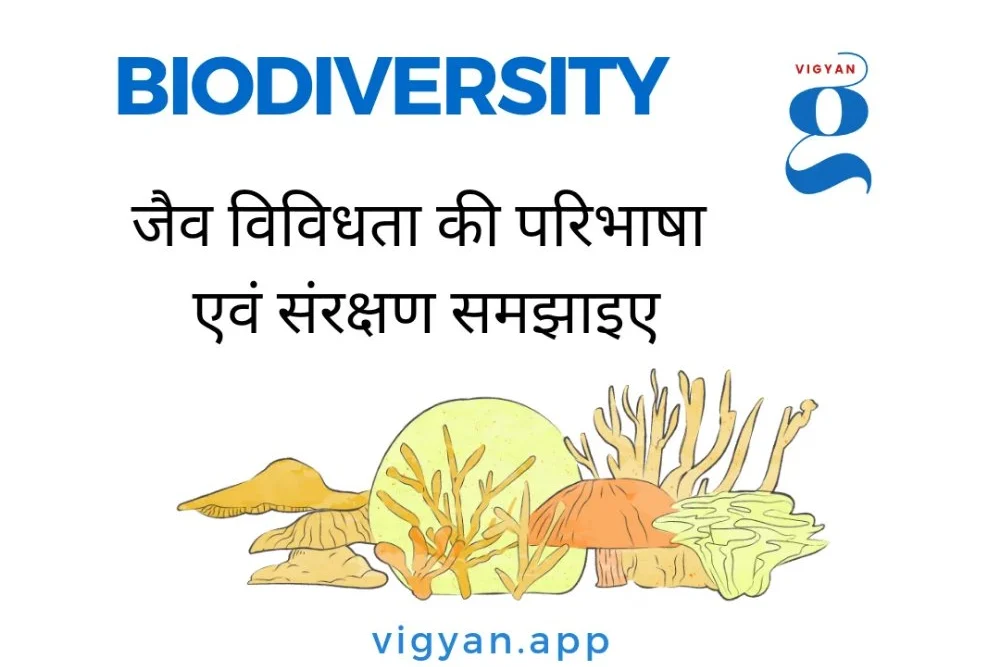 जैव विविधता (Biodiversity): महत्व, प्रकार, संरक्षण और भारत में स्थिति 1 जैव विविधता